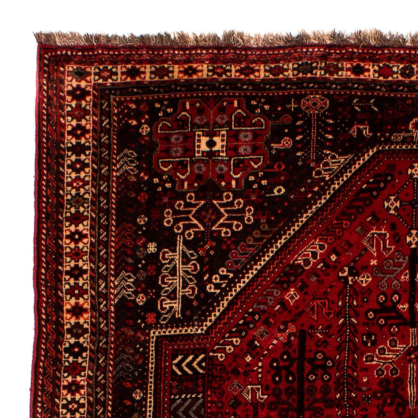 Shiraz Teppe 245x190cm - Persisk teppe