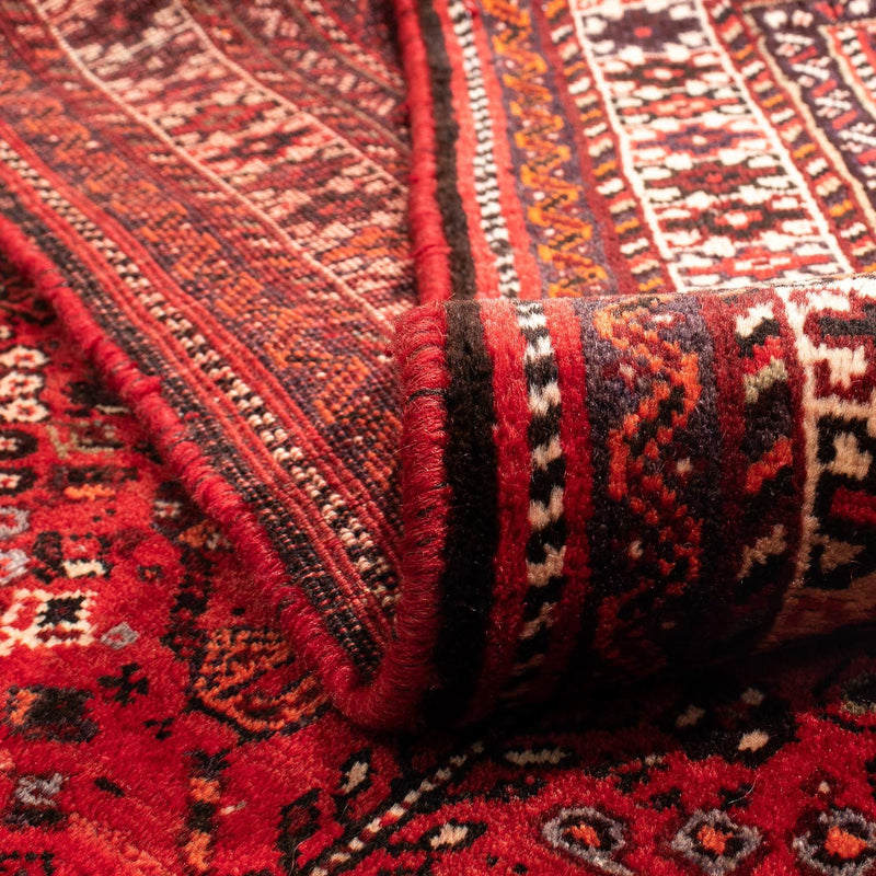Shiraz Teppe 245x190cm - Persisk teppe