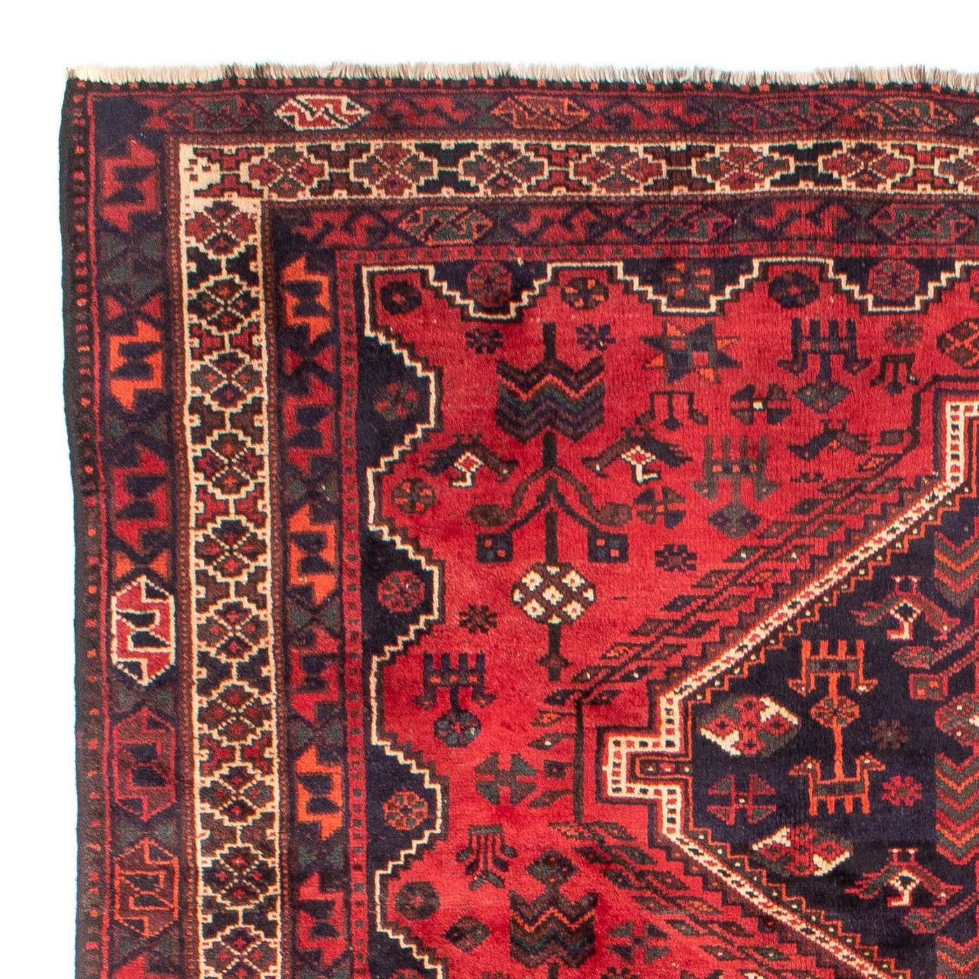 Shiraz Teppe 305x215cm - Persisk teppe