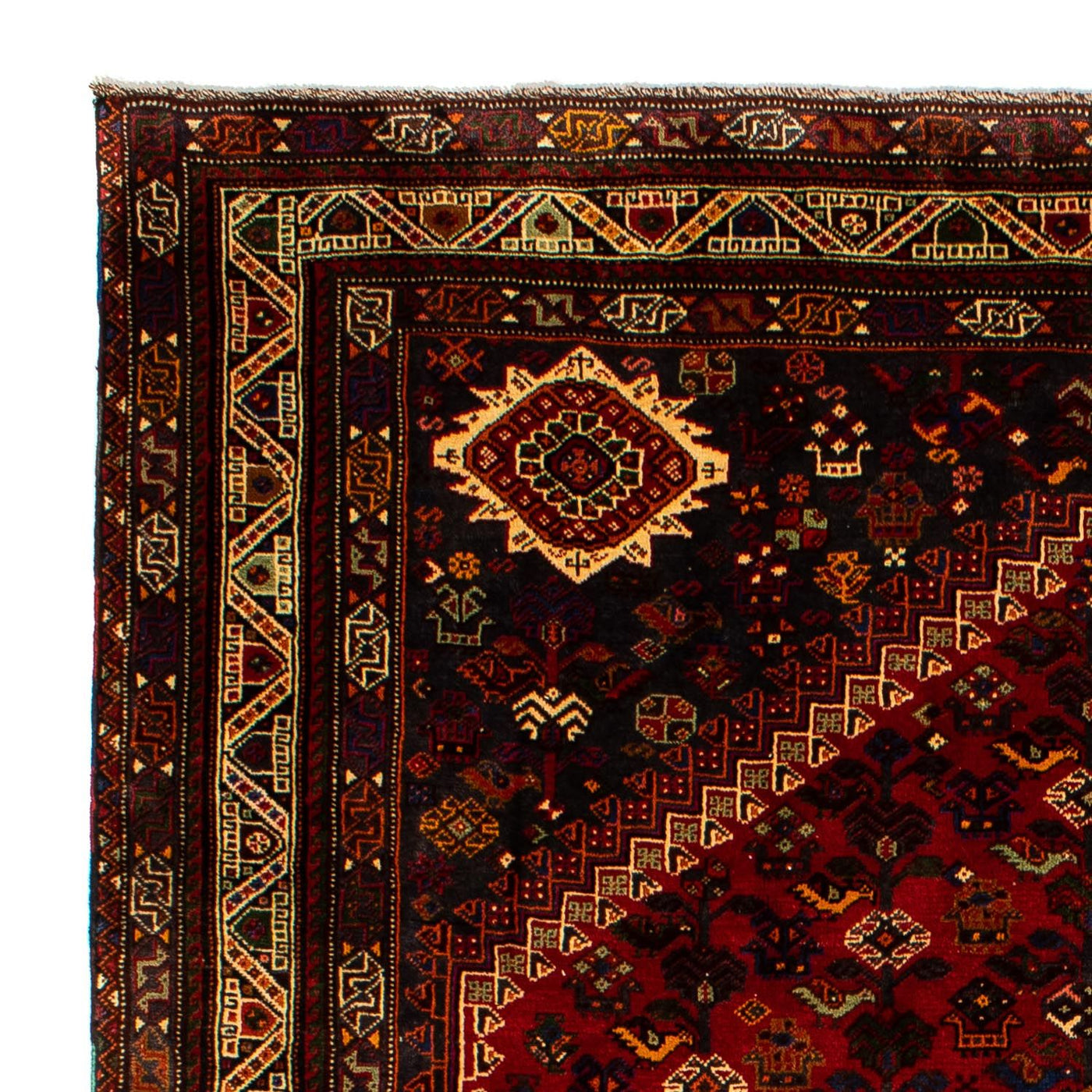 Shiraz Teppe 295x210cm - Persisk teppe