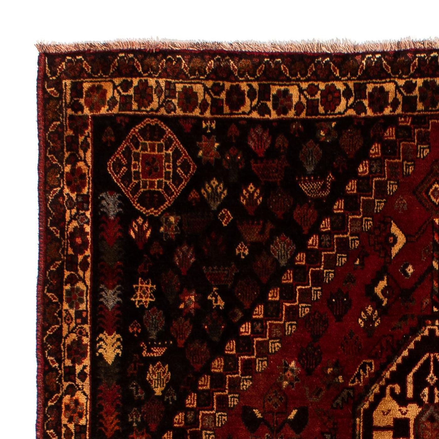 Shiraz Teppe 250x185cm - Persisk teppe