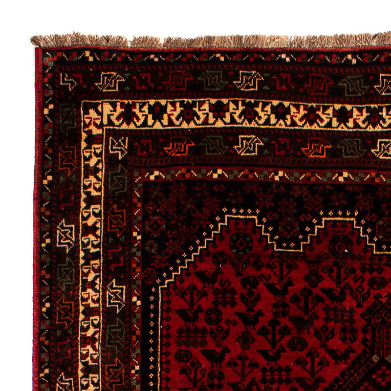 Shiraz Teppe 295x200cm - Persisk teppe
