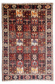 Shiraz Teppe 305x210cm - Persisk teppe