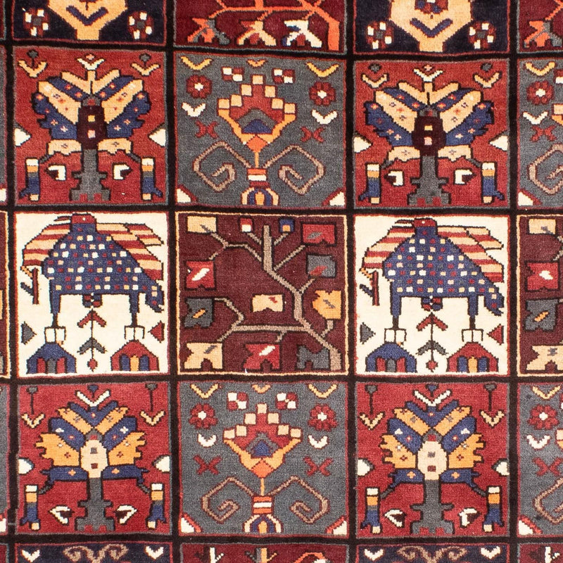 Shiraz Teppe 305x210cm - Persisk teppe