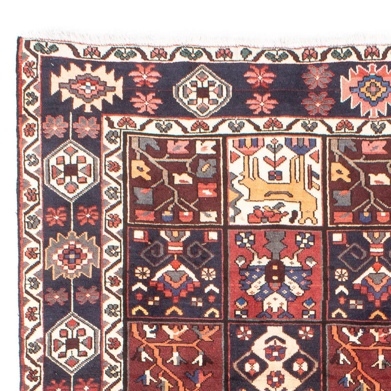 Shiraz Teppe 305x210cm - Persisk teppe