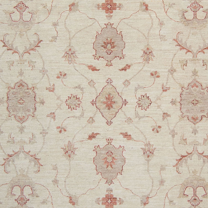 Ziegler Teppe 340x250cm - Orientalsk teppe