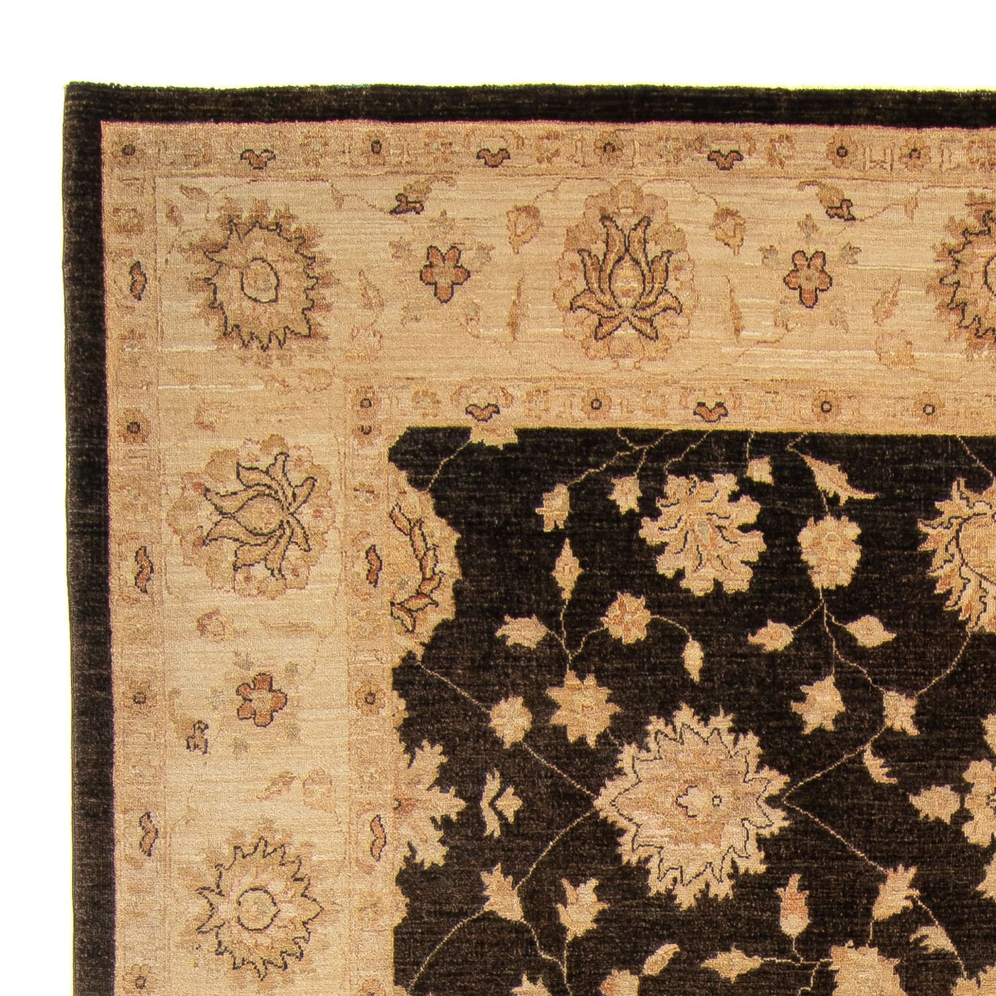 Ziegler Teppe 349x248cm - Orientalsk teppe