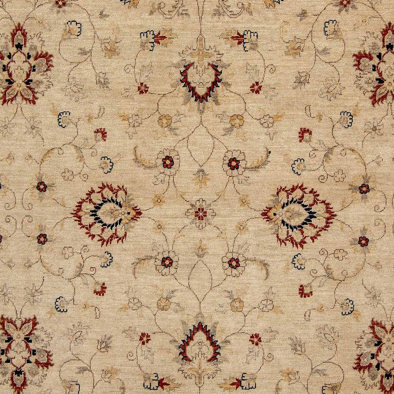 Ziegler Teppe 249x301cm - Orientalsk teppe