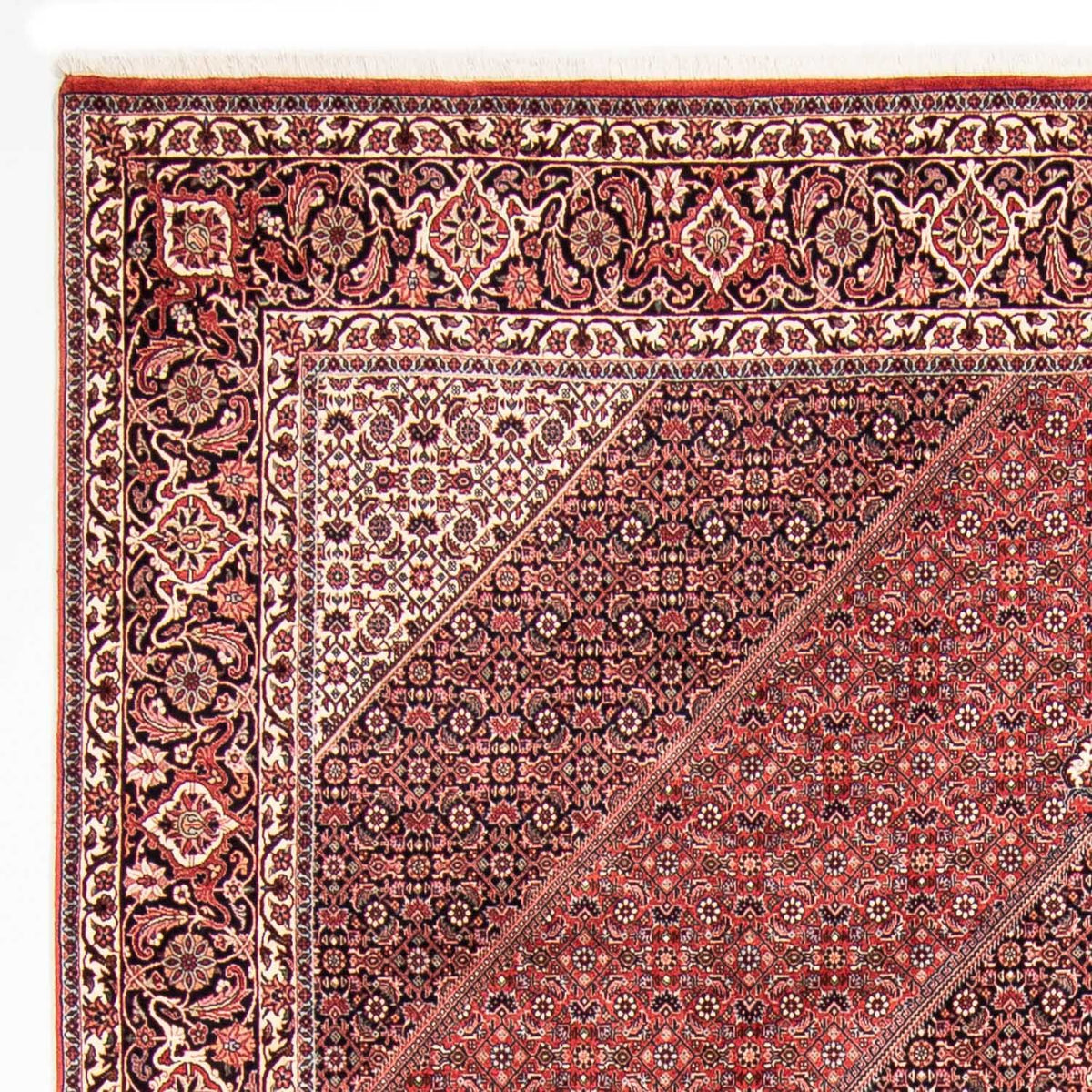 Bidjar Teppe 250x310cm - Persisk teppe