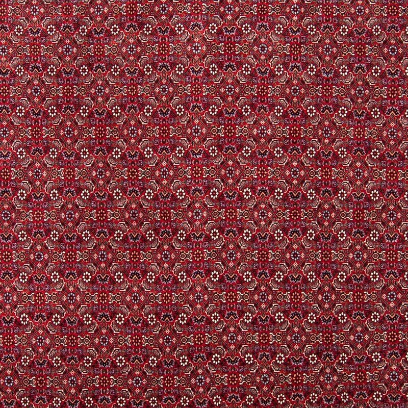 Bidjar Teppe 297x247cm - Persisk teppe