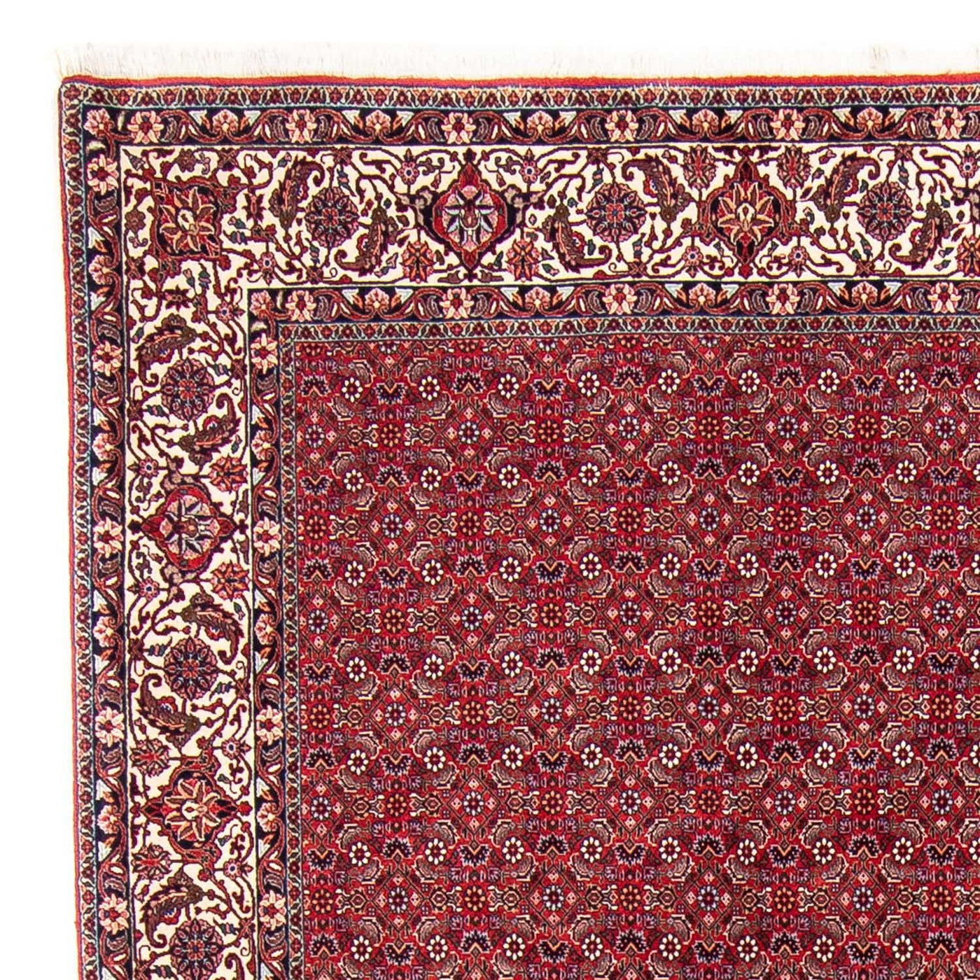 Bidjar Teppe 297x247cm - Persisk teppe