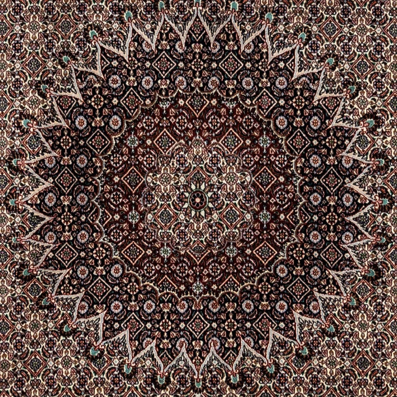 Moud Teppe 345x253cm - Persisk teppe
