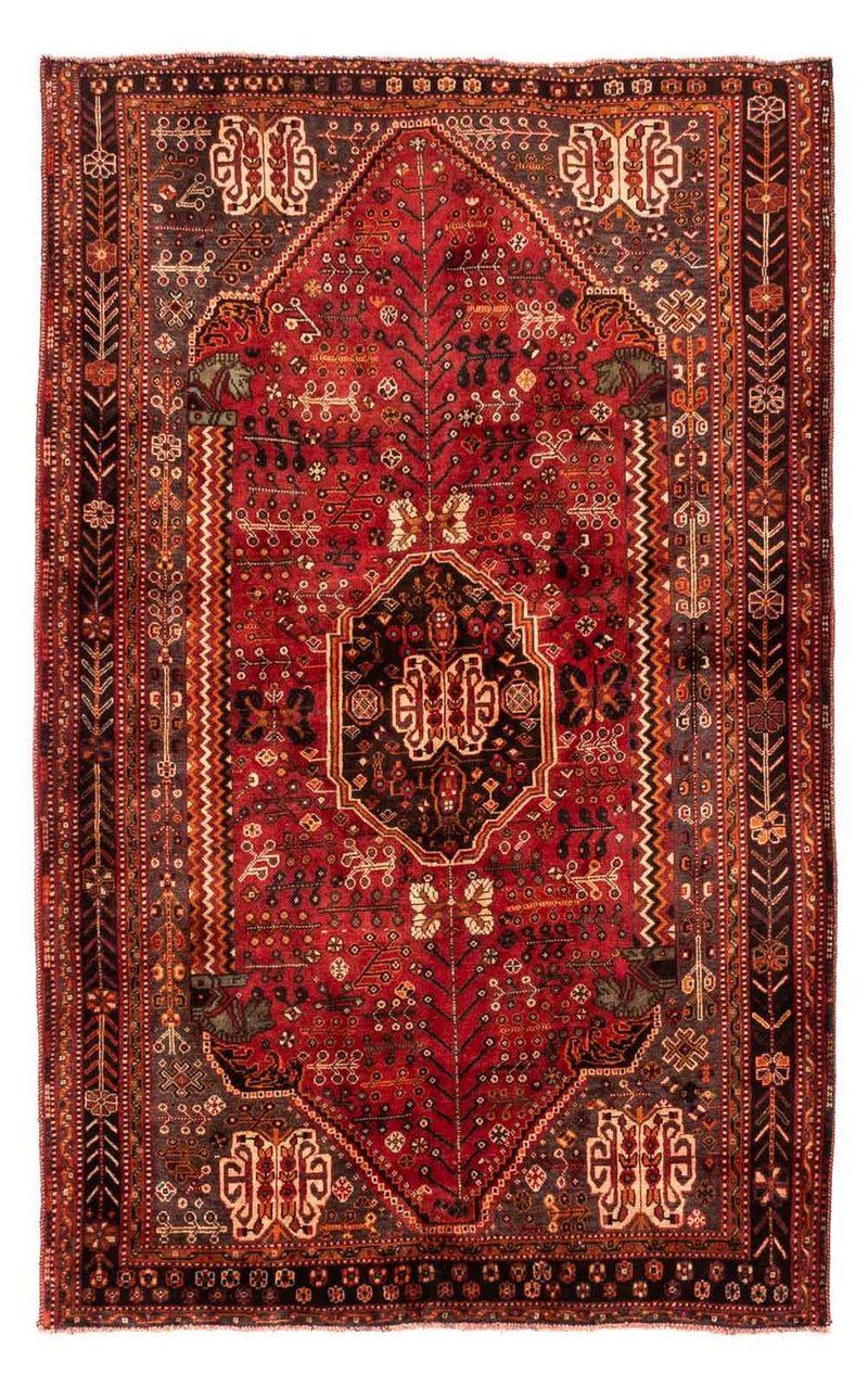 Shiraz Teppe 253x160cm - Persisk teppe