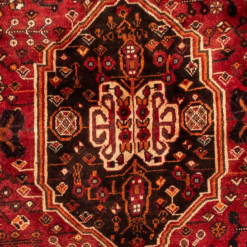 Shiraz Teppe 253x160cm - Persisk teppe