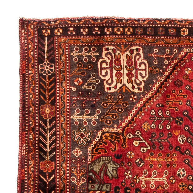 Shiraz Teppe 253x160cm - Persisk teppe