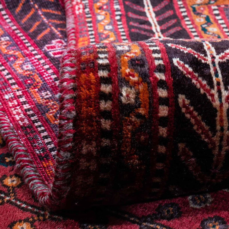 Shiraz Teppe 253x160cm - Persisk teppe