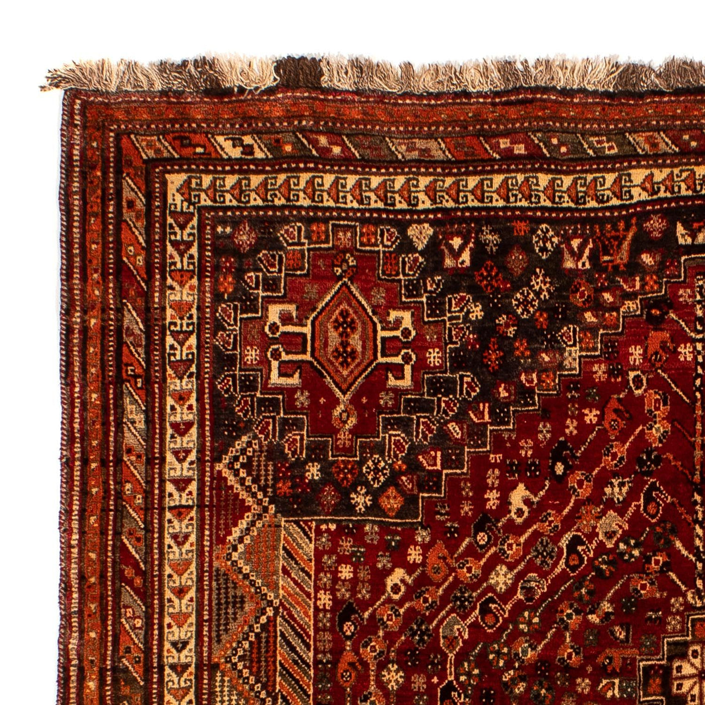 Shiraz Teppe 240x190cm - Persisk teppe