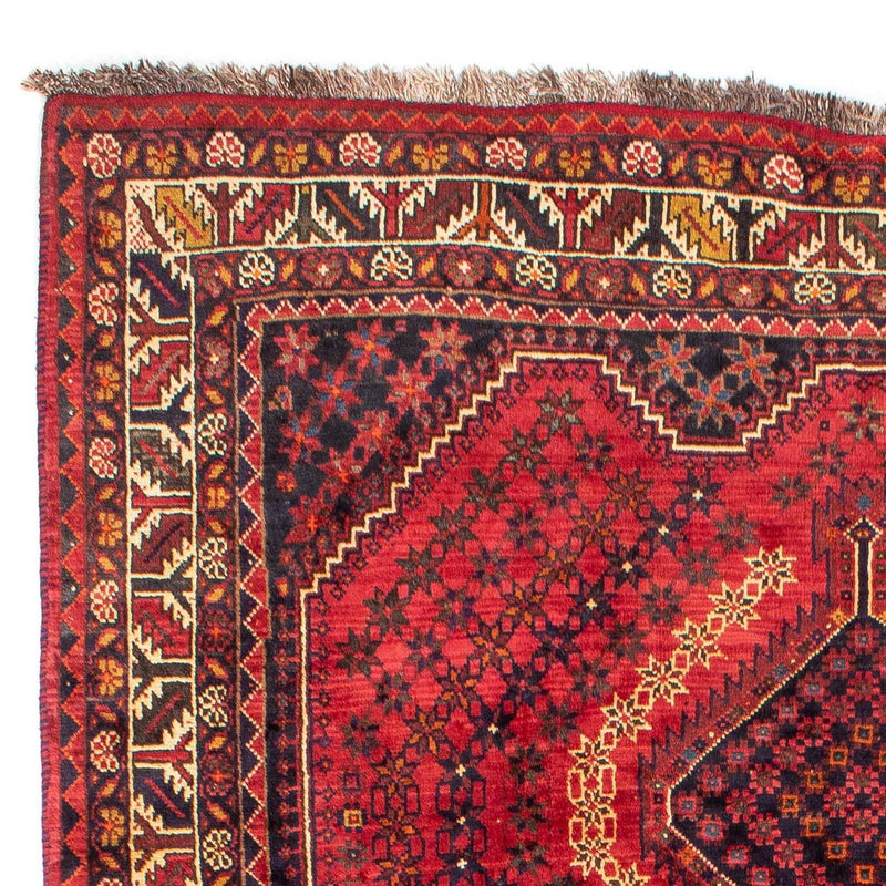 Shiraz Teppe 298x208cm - Persisk teppe