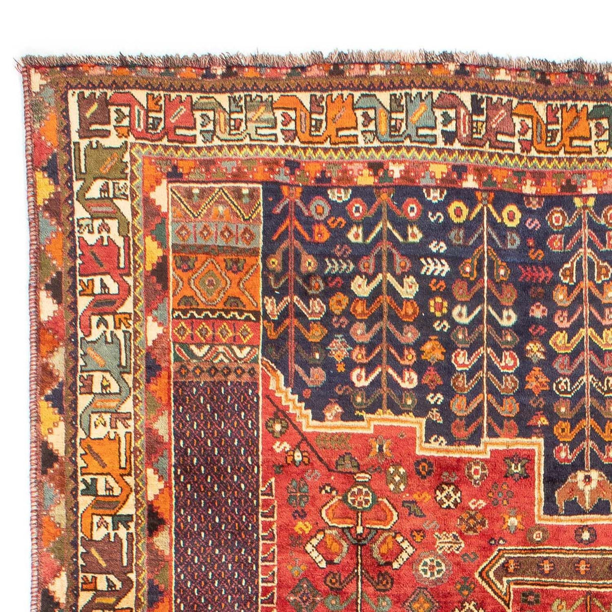 Shiraz Teppe 185x283cm - Persisk teppe