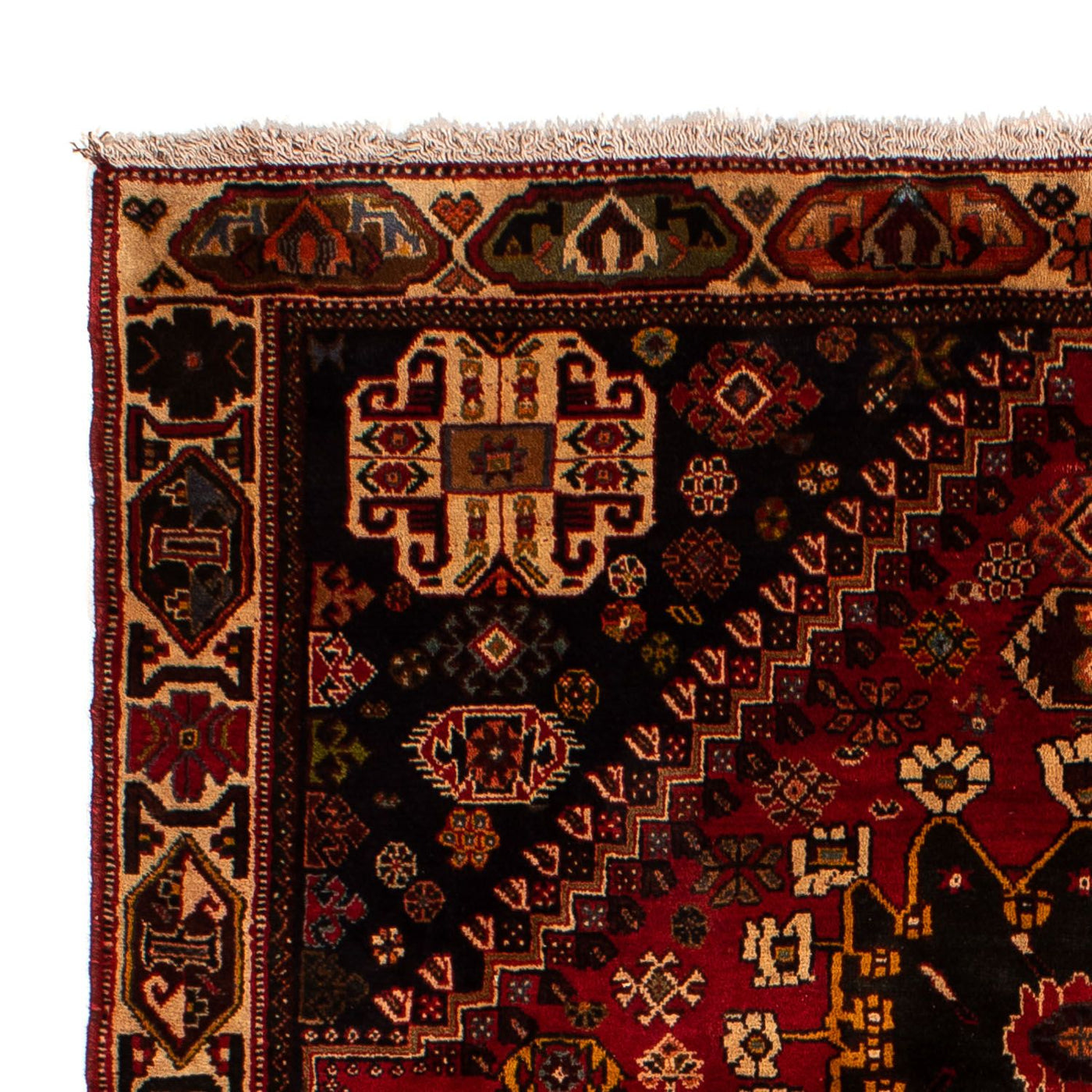 Shiraz Teppe 284x185cm - Persisk teppe