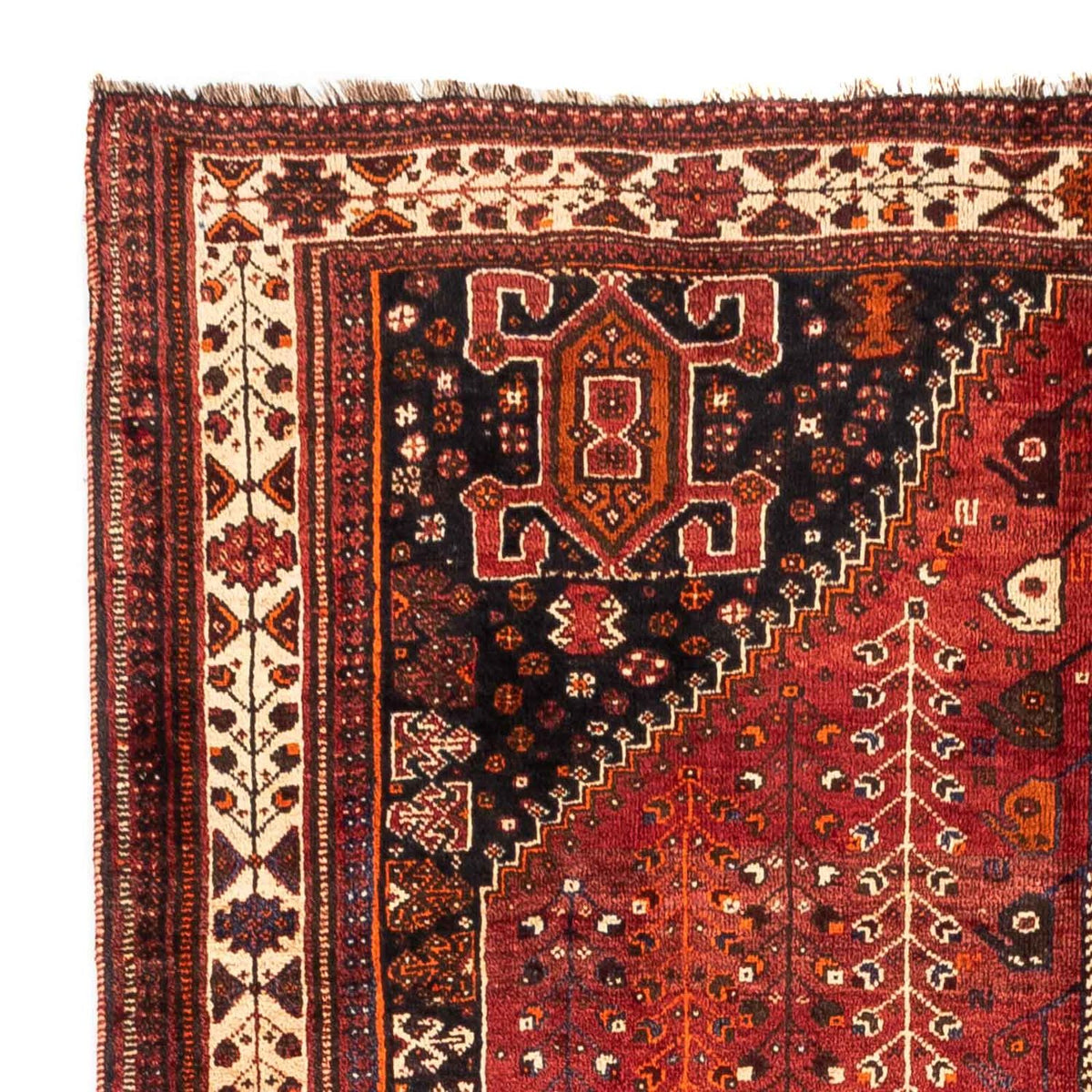 Shiraz Teppe 163x258cm - Persisk teppe