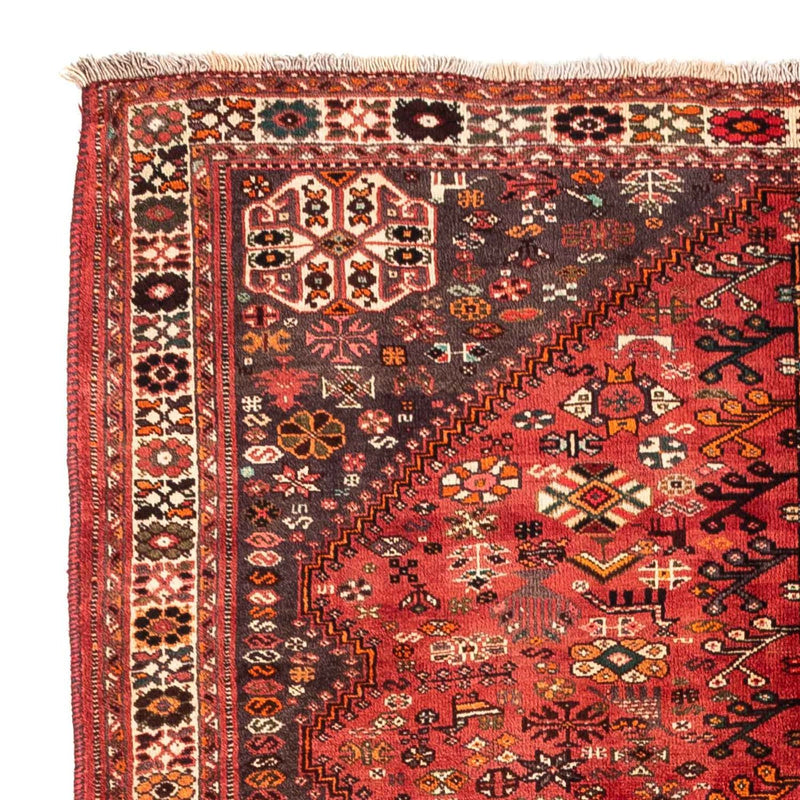 Shiraz Teppe 243x174cm - Persisk teppe