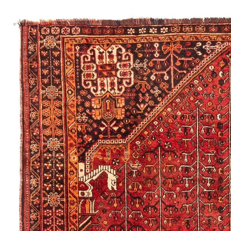 Shiraz Teppe 240x158cm - Persisk teppe