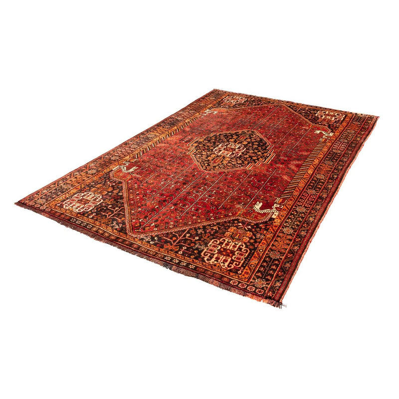 Shiraz Teppe 240x158cm - Persisk teppe