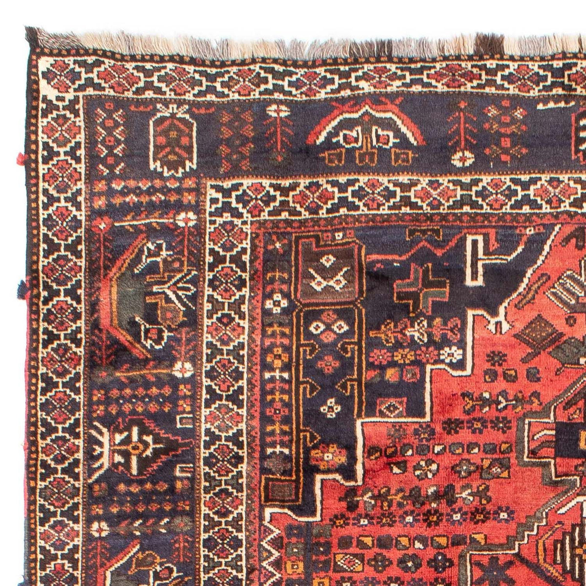 Shiraz Teppe 220x300cm - Persisk teppe