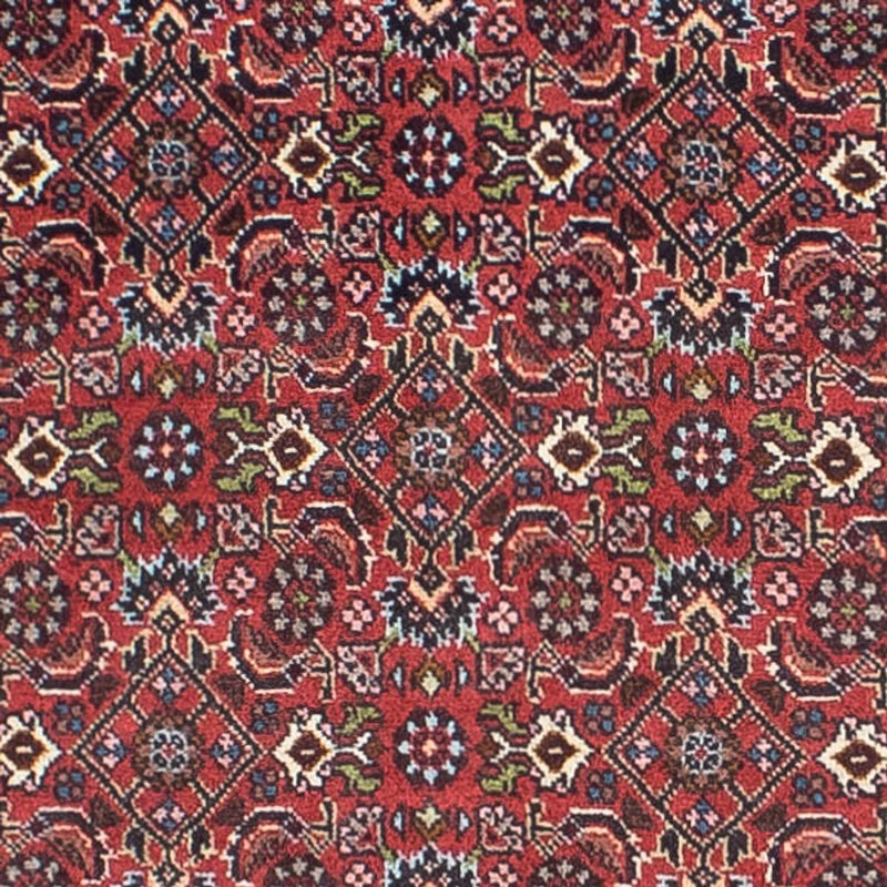 Bidjar Teppe 243x68cm - Persisk teppe