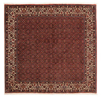 Bidjar Teppe 203x197cm - Persisk teppe – product image