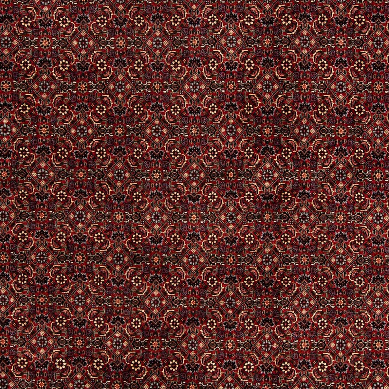 Bidjar Teppe 254x198cm - Persisk teppe