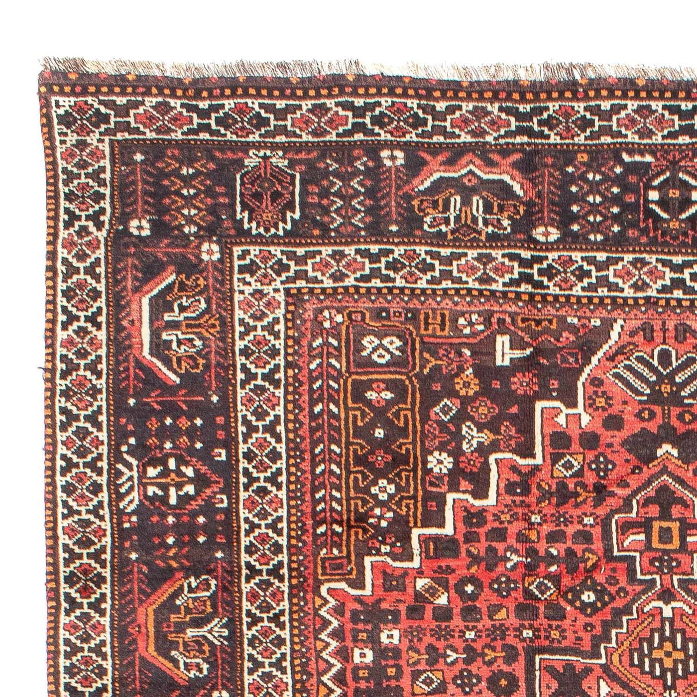 Shiraz Teppe 310x213cm - Persisk teppe