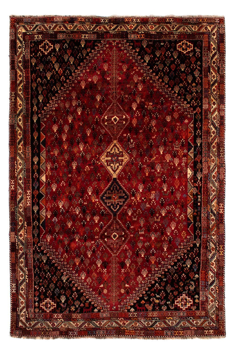 Shiraz Teppe 315x216cm - Persisk teppe