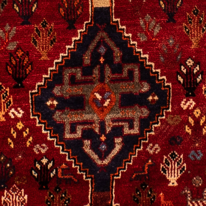 Shiraz Teppe 315x216cm - Persisk teppe