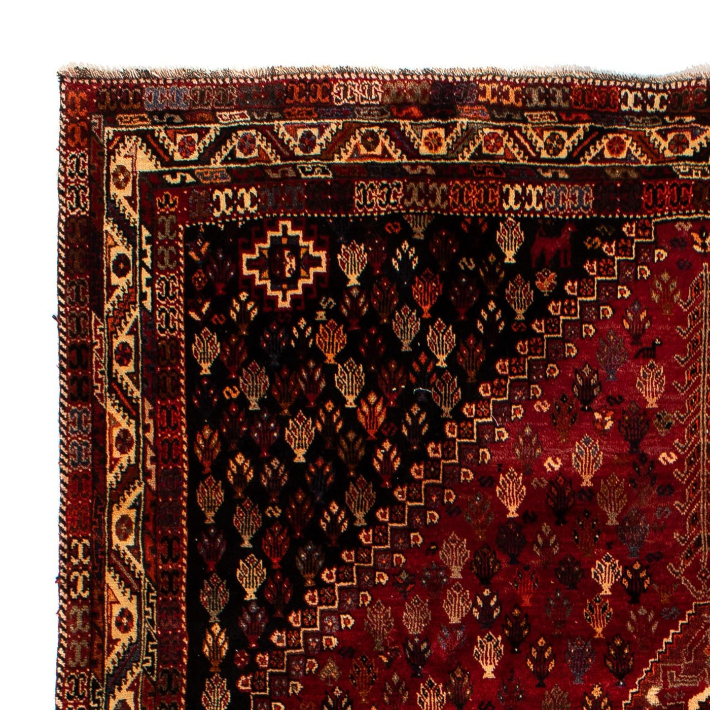 Shiraz Teppe 315x216cm - Persisk teppe