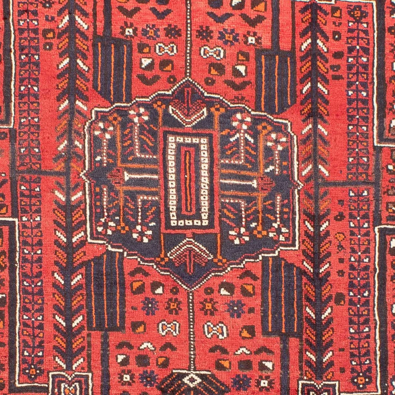 Shiraz Teppe 218x295cm - Persisk teppe