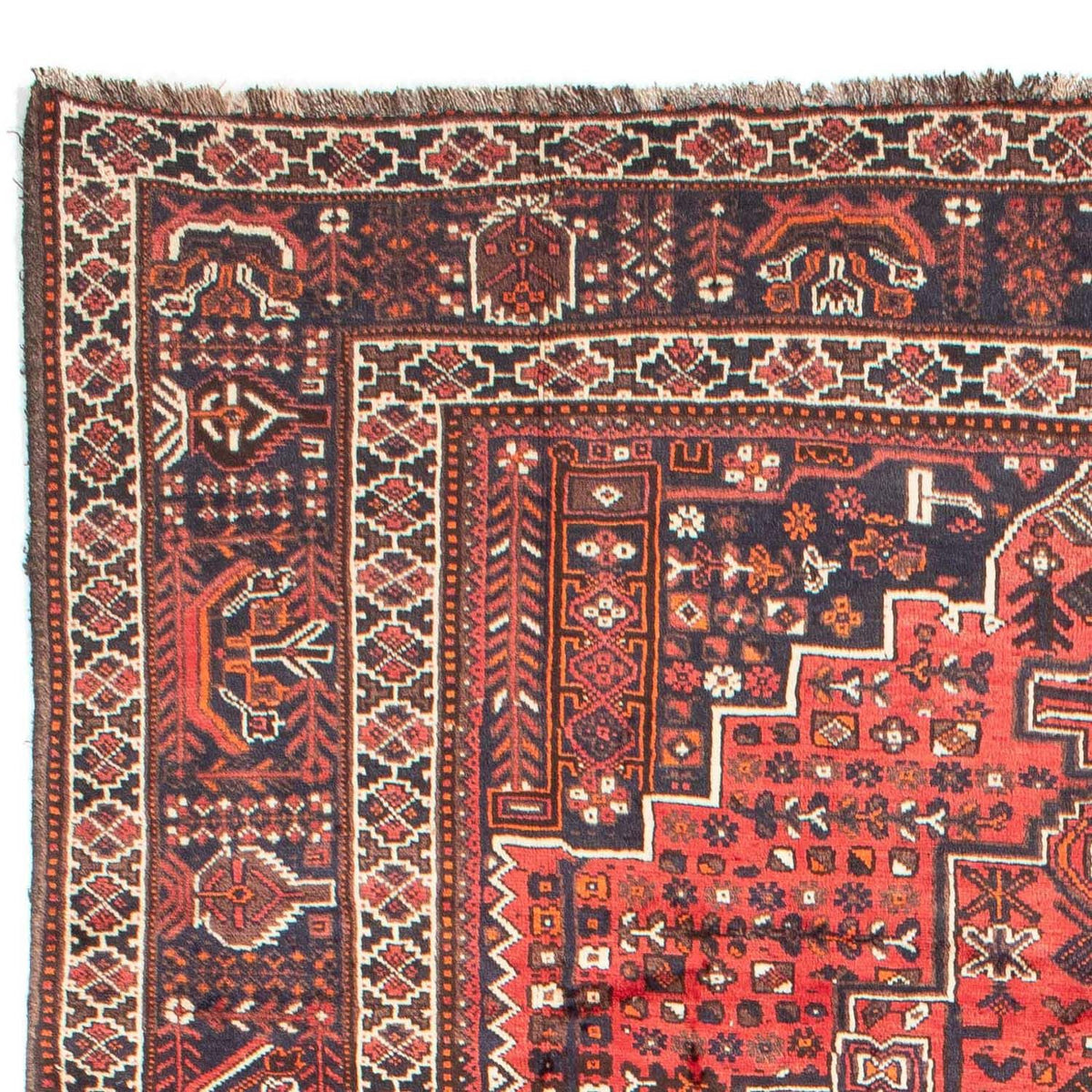 Shiraz Teppe 218x295cm - Persisk teppe