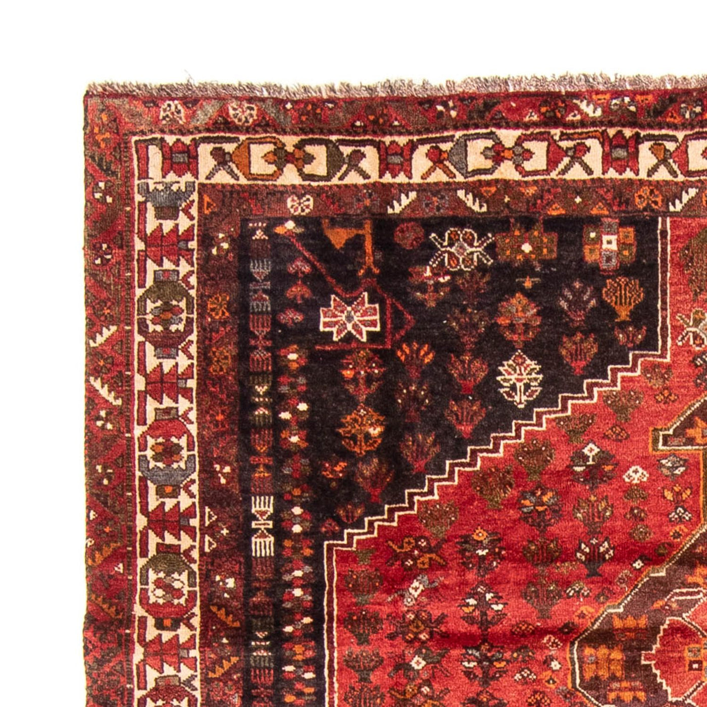 Shiraz Teppe 310x225cm - Persisk teppe