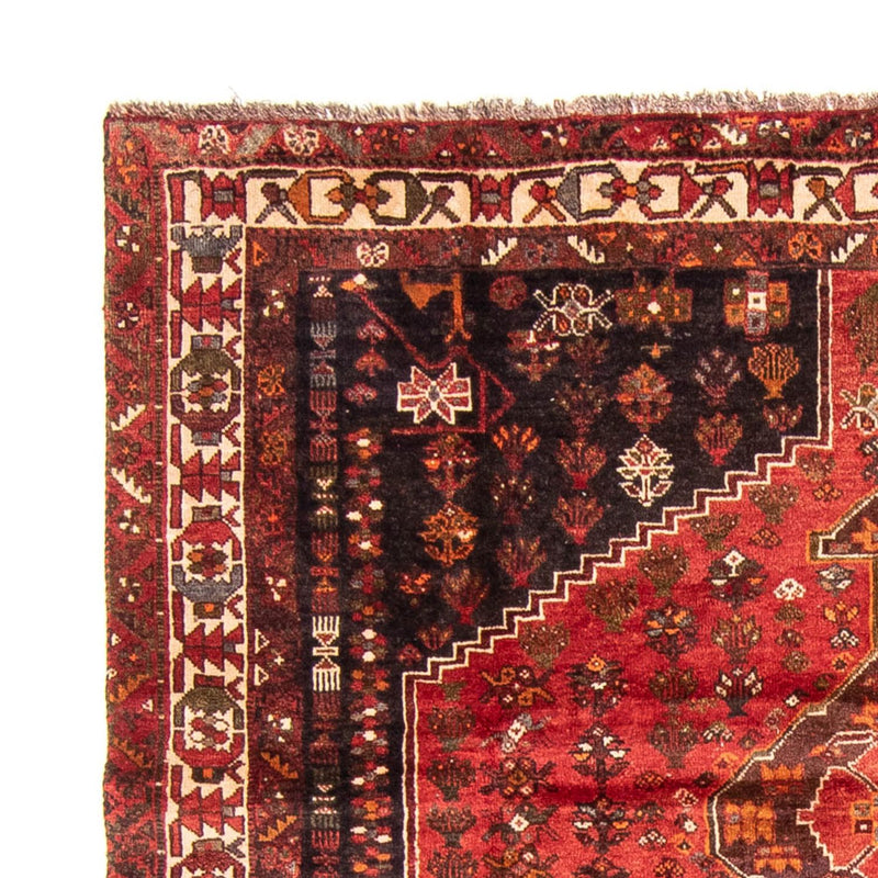 Shiraz Teppe 310x225cm - Persisk teppe