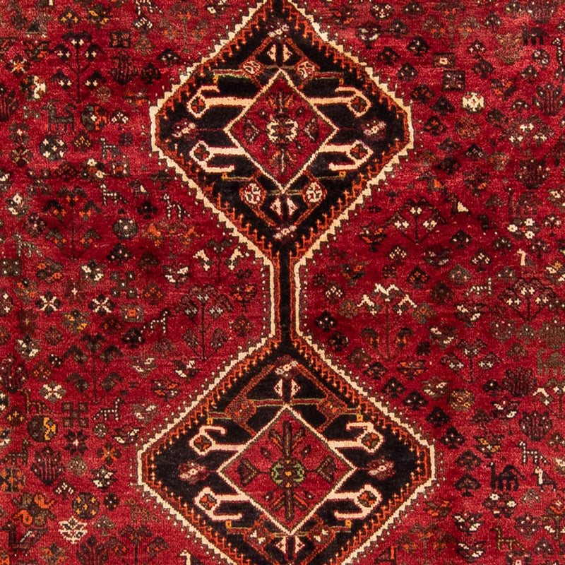 Shiraz Teppe 230x325cm - Persisk teppe