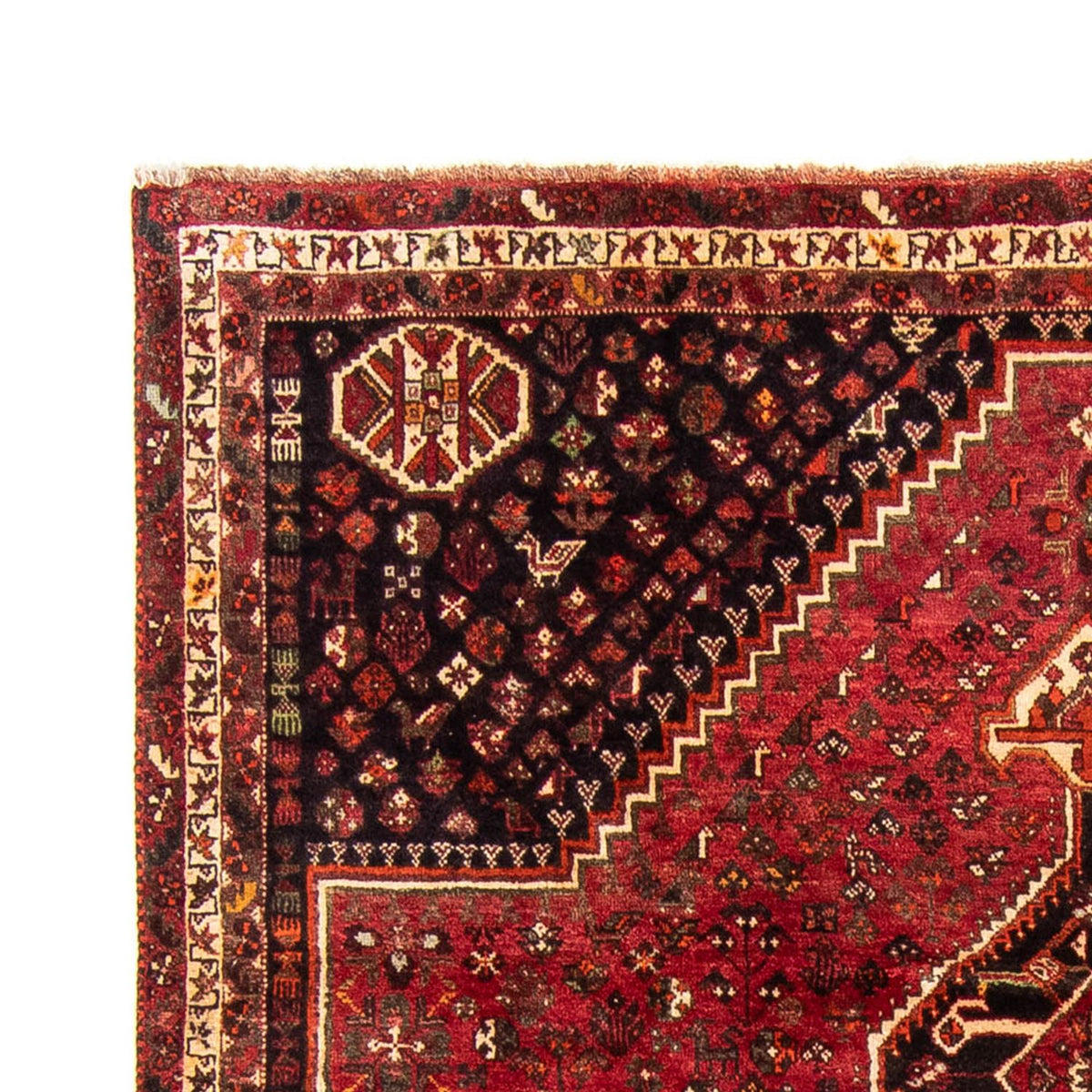 Shiraz Teppe 230x325cm - Persisk teppe