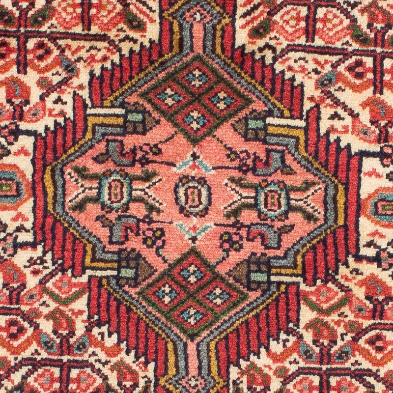 Hosseinabad Teppe 76x195cm - Persisk teppe