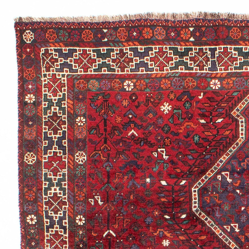 Shiraz Teppe 208x300cm - Persisk teppe