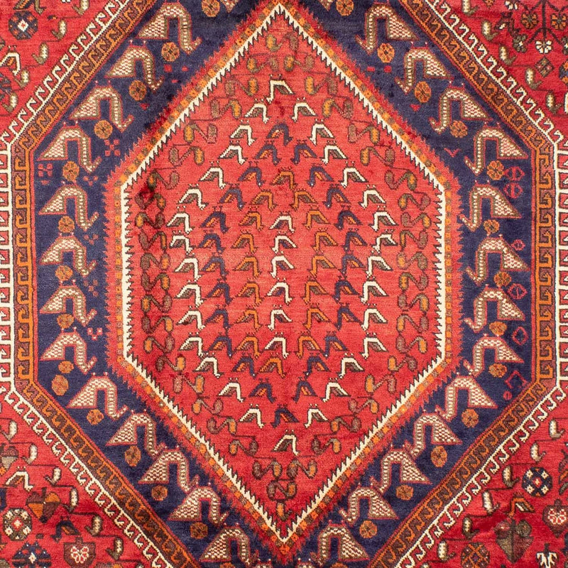 Shiraz Teppe 207x298cm - Persisk teppe