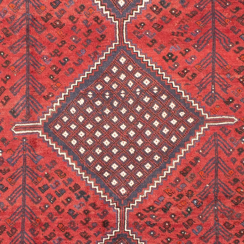 Shiraz Teppe 310x215cm - Persisk teppe