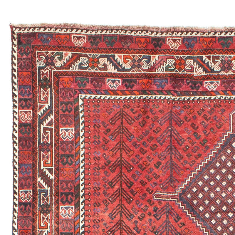 Shiraz Teppe 310x215cm - Persisk teppe