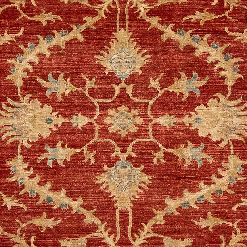 Ziegler Teppe 285x203cm - Orientalsk teppe