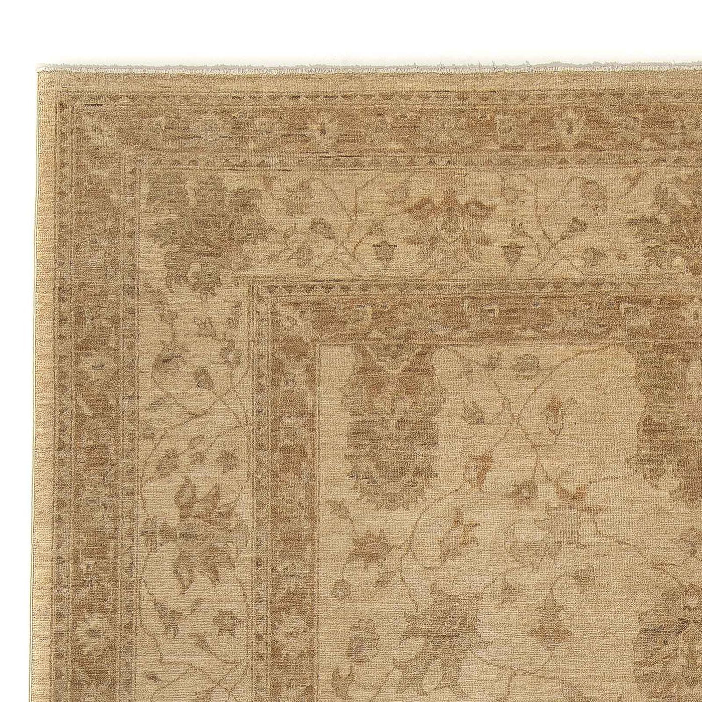 Ziegler Teppe 288x247cm - Orientalsk teppe