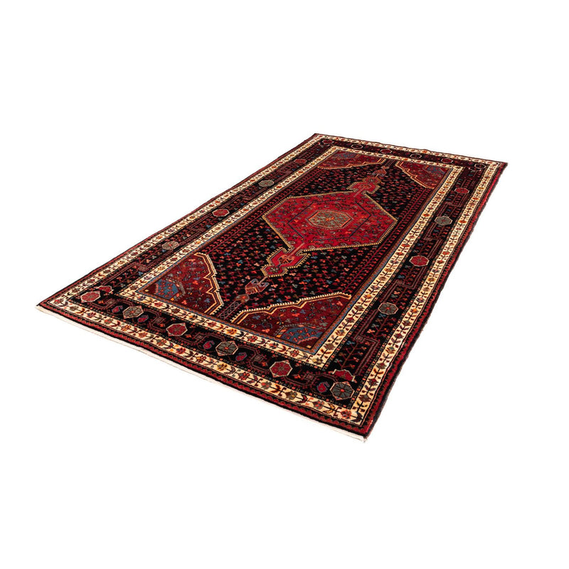 Hosseinabad Teppe 246x136cm - Persisk teppe